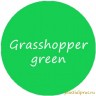 Зеленый колер для жидкой резины Grasshopper 